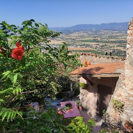 Villa Rurale Nei Pressi Castello Campello sul Clitunno Zewnętrze zdjęcie